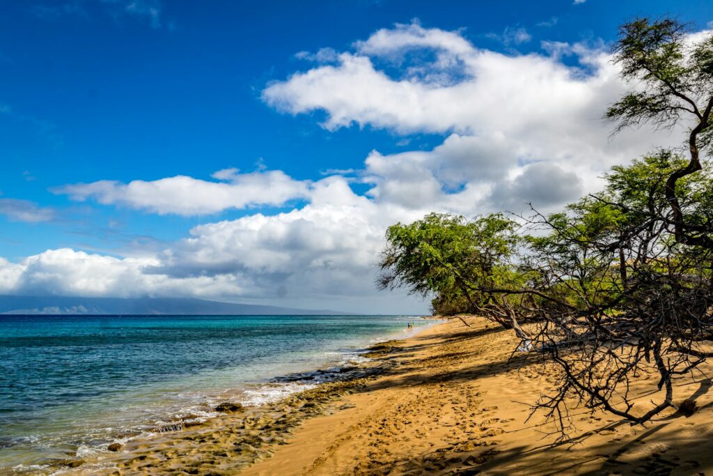 Maui beach